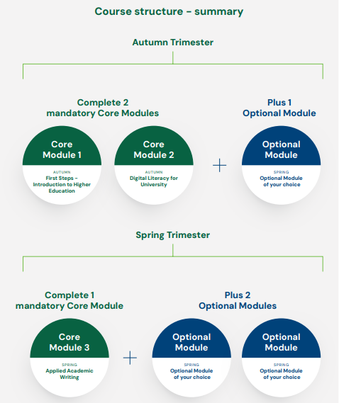 Diagram showing the mandatory and elective AHSSL modules